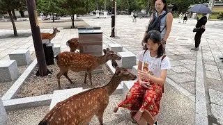 Japan Osaka Family trip By Felicia Chia #osaka #osakacity #follow #travelvlog #familytravelvlogs #fy