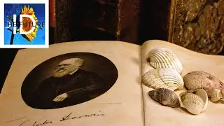 Nancy Pearcey Explains the Surprising Early History of Darwinism