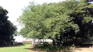 山手公園 YOKOHAMA YAMATE PARK