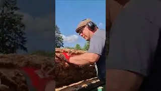 Когда обычной циркулярной пилы недостаточно, используйте цепную пилу. #apusampo #woodworking #cir...