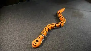 RC Robotic Snake Jan 2025