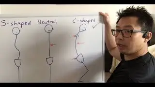 Taichi Basics 1: Centre Point & C-shaped Spine Posture 太極拳 基本