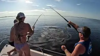 2024 Gator hunt. Tagged out.#florida #fishing #gators #friendship #fish #storms #fun #husbandwifefun