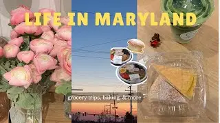 vlog: week in my life, marufuji japanese market, baking ♡