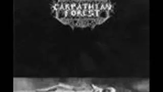 Carpathian Forest-Black Shining Leather