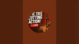 LIVE: Cutting Huge Trees with Bandsaw | Heavy Machinery in Action