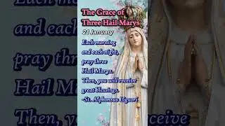 Three Hail Marys | Miracle Prayers for Mercy, Healing, Peace | 21 January