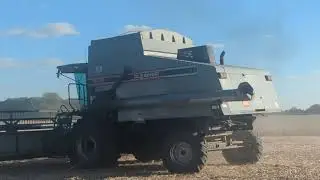 The Grey Beast Attacking a Deer & a Hawk - 1992 AGCO R72 Gleaner - Soybeans  #harvestchaser