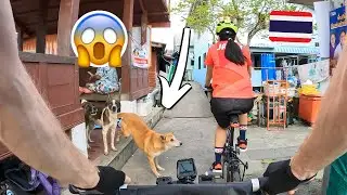Скрытые сокровища Бангкока 🐕 Велотур по Таиланду на складных велосипедах