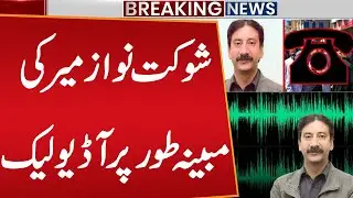 Alleged Audio Leak of Shaukat Nawaz Mir! | Breaking News | Public News