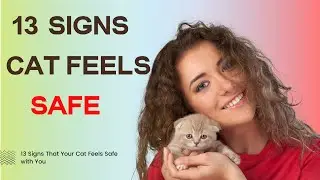 13 Signs That Your Cat Feels Safe with You &ndash; You Won't Believe #7!