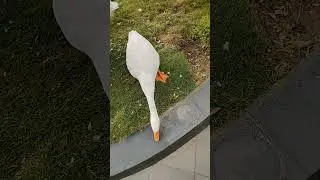#environmentmatters