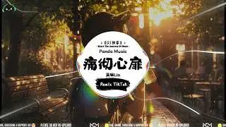 吴琳Lin - 痛彻心扉 (抖音DJ版) Tong Che Xin Fei『怎么能够让我不再想你也许爱你，爱到最后只能伤心。』【動態歌詞｜Vietsub｜Pinyin Lyrics】