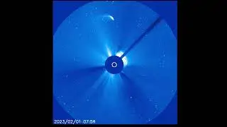 Comet 96P/Machholz, 2023, SOHO Coronagraph