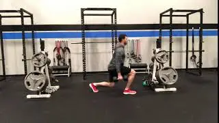 DB Split Squat Jumps