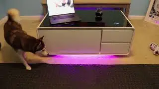 Sobro Smart Coffee Table Trailer