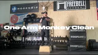 One Arm Monkey Clean