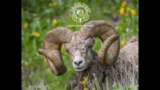 EP 24 &ndash; The Last Frontier(sman) with Tanner Dannish