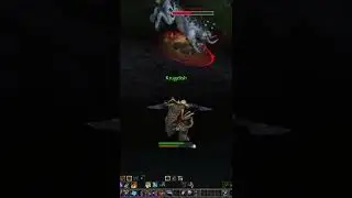 WoW Hunter killing rare #3 Sabertusk Empress