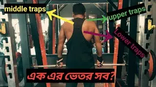 proper traps workout for upper middle and lower traps #trapsworkout #backworkout