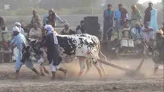 Most Interesting Video Mala Thali Chowk Rahim Yar Khan ♥️#video #support 