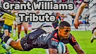 Grant Williams Tribute - Springbok & Sharks Rugby Scrum-half SPECTACULAR TRIES  #rugby #motivation
