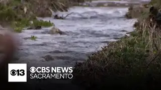 Trump administration moves to direct more water to Central California farms