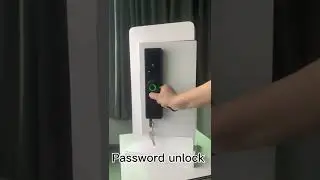 WIFI Tuya APP Smart Aluminum Fingerprint Inside Keyless Waterproof Digital Handle Door Lock LPL002
