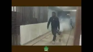 FUMIGATION OF INSECTICIDES.