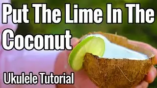 Put The Lime In The Coconut (Ukulele Tutorial) - The one that actually sounds cool