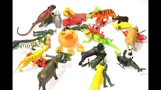 Animal Vs Machine Toy Wild Animals Toy Battlefield Toy Army Toy Video for Kids