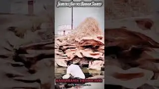 Takreeb-e-Khatm-e-Bukhari Shareef || Aljamiatul Ahmadiya Assunniya || #explore #bukhari #shorts