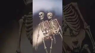 #funny #intags #best_motivation_video_status #cosplayer #clay #magic #treestagram #art #ghost