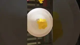 Science Experiment - Blooming Flowers (Capillary Action)