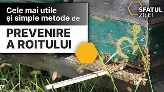 6 dintre cele mai utile si simple METODE de PREVENIRE A ROITULUI