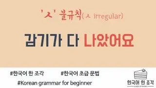 [한국어 초급 문법] ㅅ불규칙 ㅅ irregular  Korean basic grammar 감기가 다 나았어요