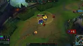 stupid warwick
