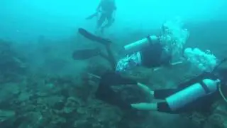 My Dive and Dine Experience at Four Seasons St Nevis - The Travelista - September 2014