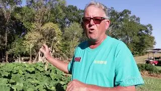 Places of Alabama - Native Garden - Moundville, AL