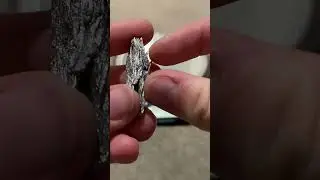 What&rsquo;s The Most Expensive Thing In My Element Collection?