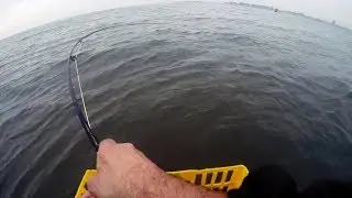 Fly Fishing for STRIPED BASS - Late Season WINTER COLDWATER Striper