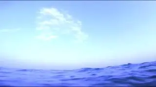 Dark Red and The Blue Sea