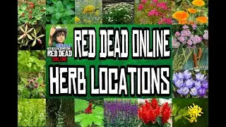 RDR2 Online - Oregano locations for Daily Challenge (5 areas)