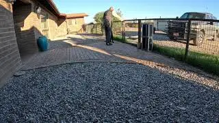 Training my dog to wait at the gate easy pairing of events Louis