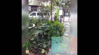 farmbest