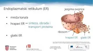 Biologija 3. SŠ - Eukariotska stanica, 1. dio