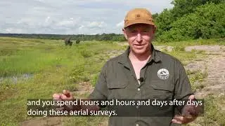 MEET DARREN POTGIETER: KAZA AERIAL SURVEY COORDINATOR