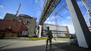 Zaporizhzhia power plant head released by Russian forces
