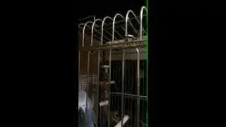 Папа- хороший, а мама АЛКОГОЛИЧКА!!!!