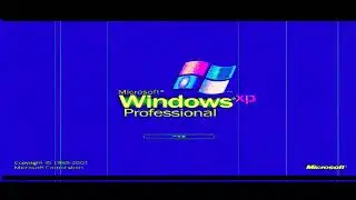 THE EPICNESS OF WFWA DT4, WINDOWS XP, VERIZON, VETCH